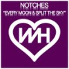Every Moon - Notches