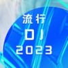 爱过的人怎能说忘就忘记 (DJ版) - 赵洋