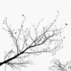 this is what sadness feels like (Live) - JVKE