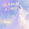 谁为她披上了婚纱 (伴奏) - 郑畅业